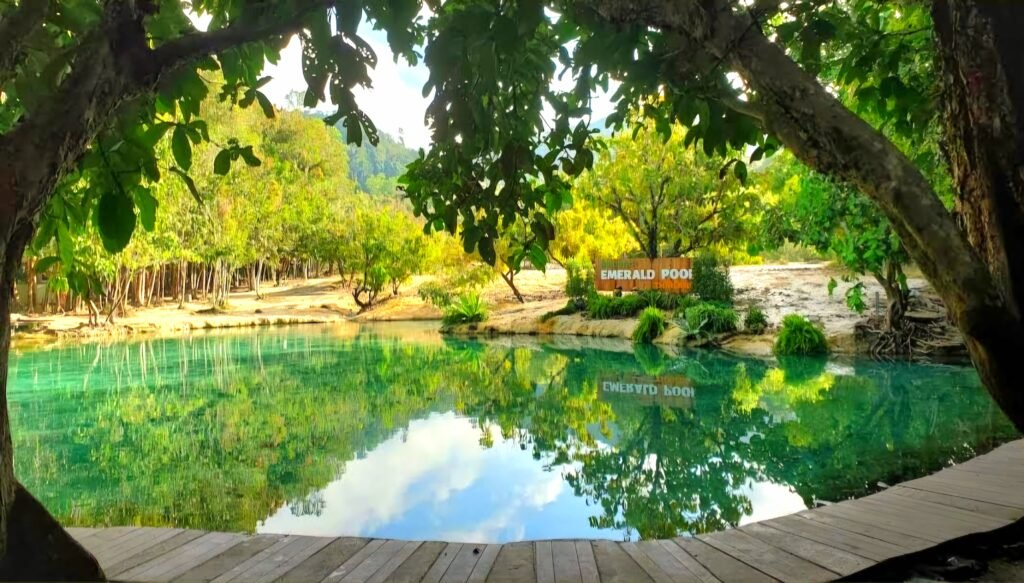 a pond with trees around it emerald pool krabi